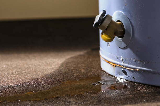 Best Water damage cleanup near me  in Karns, TN