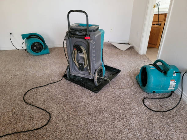 Best Flooded house restoration  in Karns, TN