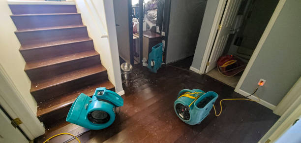 Best Water damage restoration mold remediation  in Karns, TN