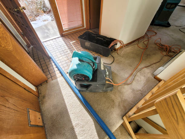 Best Ceiling water damage repair  in Karns, TN