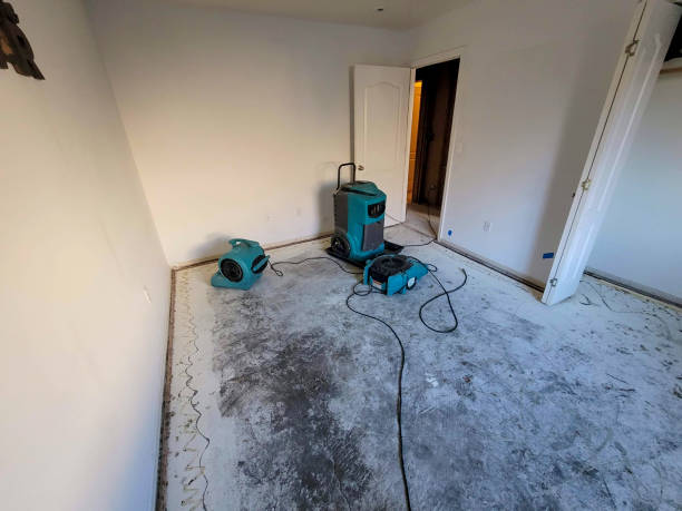 Best 24/7 water damage repair  in Karns, TN
