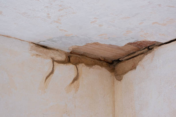 Best Flood damage cleanup  in Karns, TN