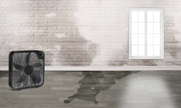 Best Water damage restoration near me  in Karns, TN