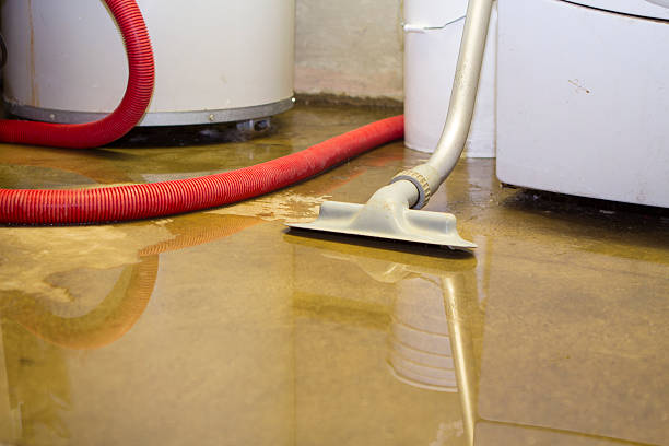 Best Residential water damage restoration  in Karns, TN