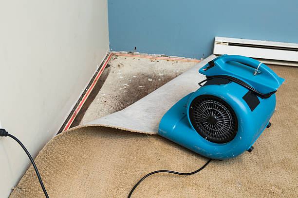 Best Fire Damage Restoration  in Karns, TN